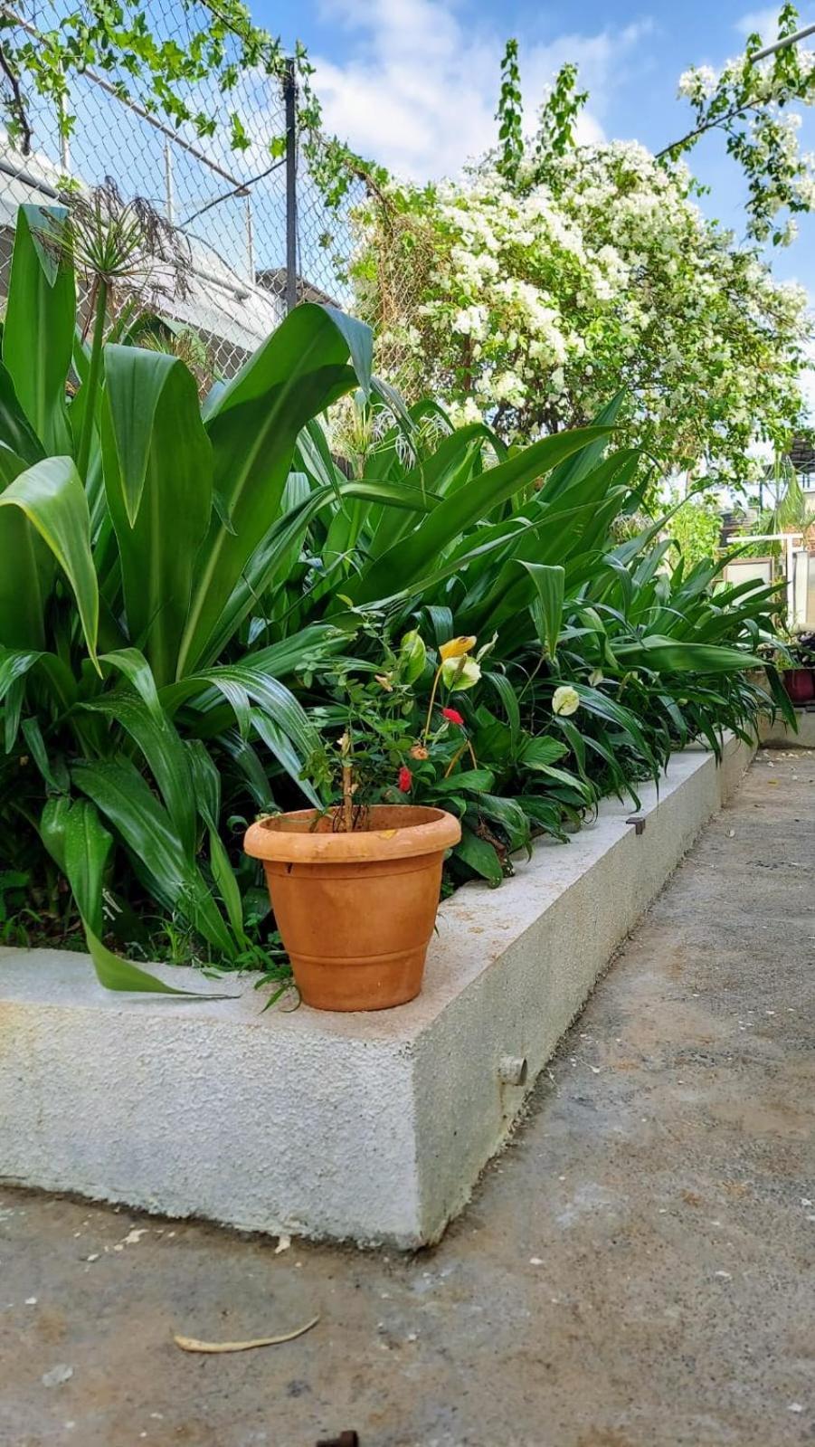 Lonavala Francis Villa Exclusive 4-Bedroom Family Retreat With Pool Buitenkant foto